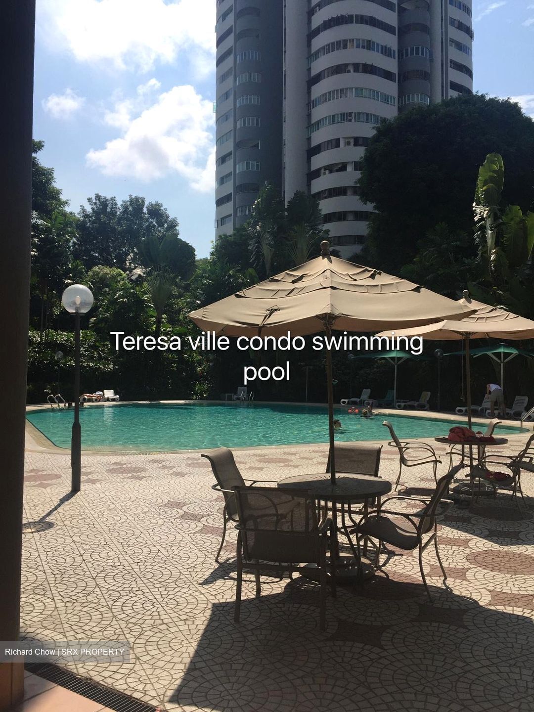 Teresa Ville (D4), Condominium #506687851